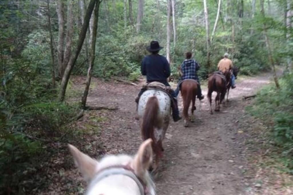Honeymoon Getaway In Woods Near Noc And Smoky Mtn Rr Villa Bryson City Eksteriør bilde